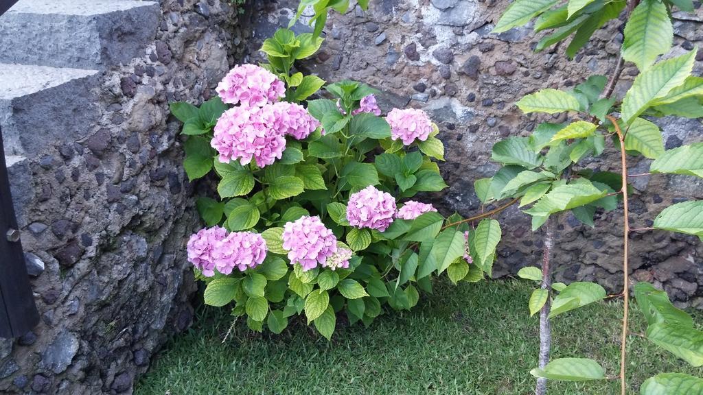 Etma Bed & Breakfast Sant'Alfio ภายนอก รูปภาพ