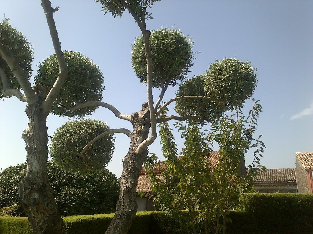 Etma Bed & Breakfast Sant'Alfio ภายนอก รูปภาพ