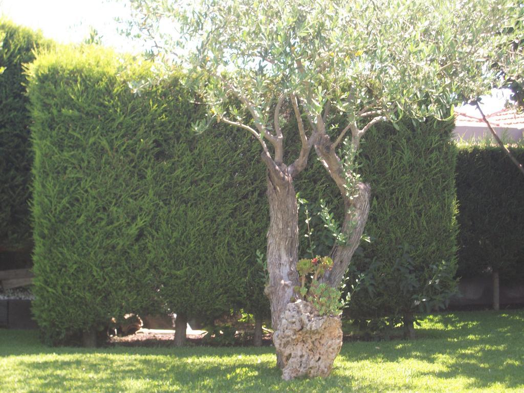 Etma Bed & Breakfast Sant'Alfio ภายนอก รูปภาพ